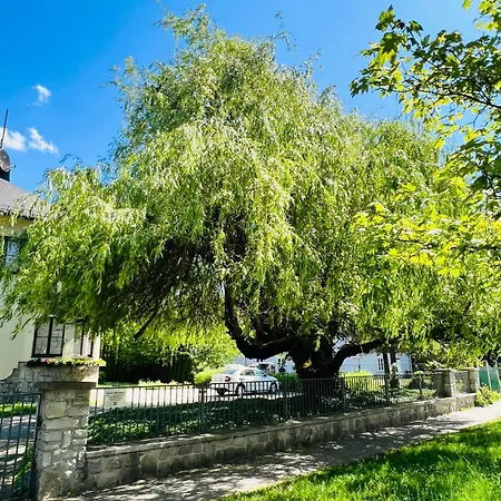Ancora 3* Šumperk