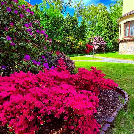 Guest house Ancora